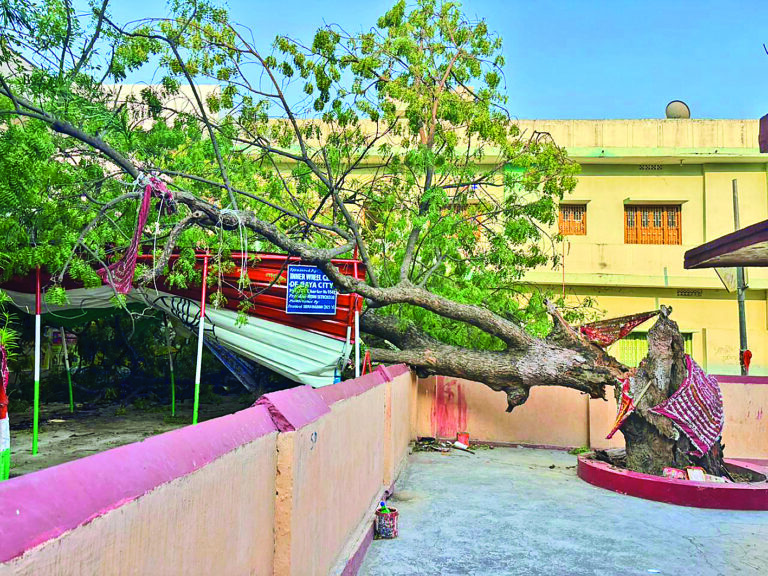 84 साल से बिना भवन चल रहा स्कूल, अब आंधी में उड़ी छत, गया में 52 बच्चे खुले आसमान के नीचे पढ़ने को मजबूर
