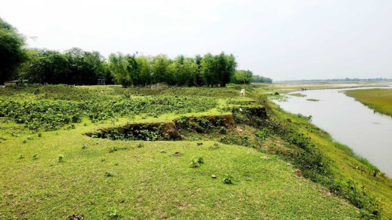 KISHANGANJ : सिमलबाड़ी मीरभिट्ठा में रोड व कब्रिस्तान कटाव की चपेट में