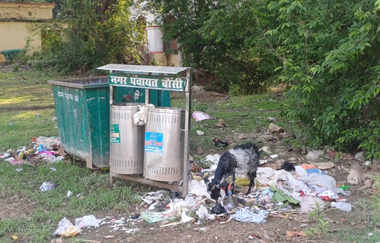 BANKA : डस्टबिन लगा है, फिर भी सड़क पर कचरा