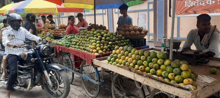 पूर्णिया में लीची के दाम 300 रुपये सैकड़ा पार, खीरा और नारियल भी महंगे