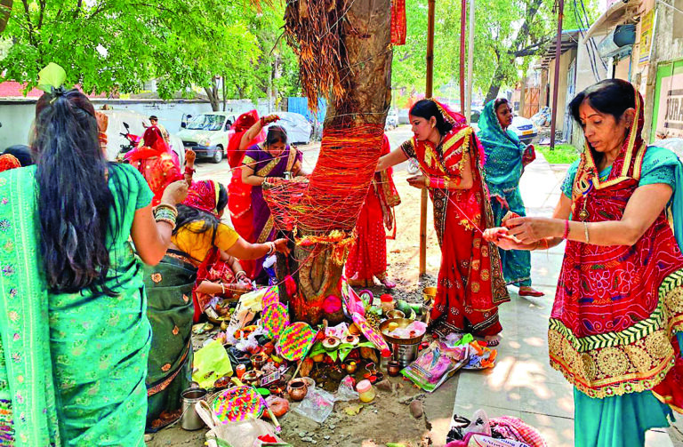 Rourkela News: वट वृक्ष की पूजा कर सुहागिनों ने पति की लंबी आयु व सुख-समृद्धि मांगी