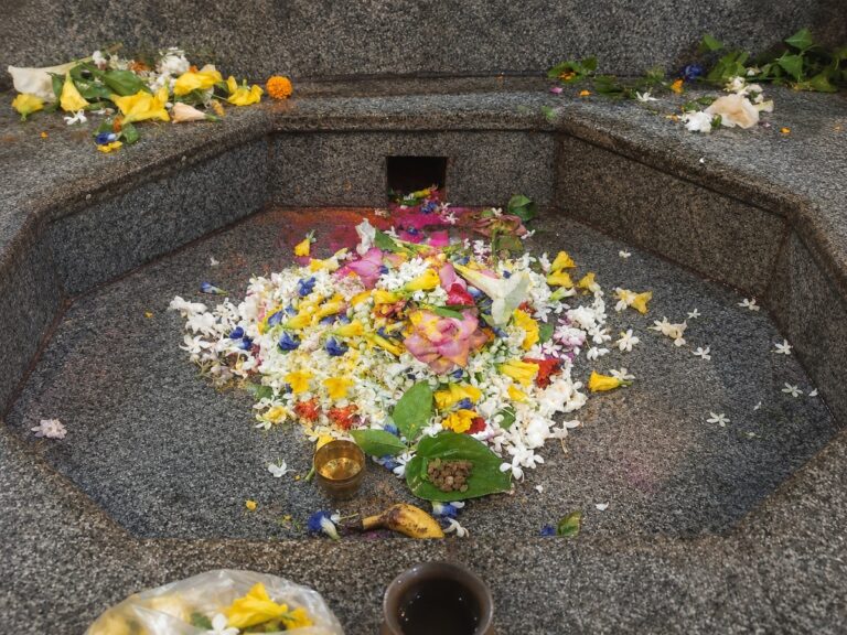 Bhagalpur. बाबा बूढ़ानाथ मंदिर में उमड़ी भक्तों की भीड़, गूंजा हर-हर महादेव