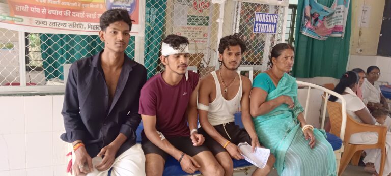 जमीन विवाद में जमकर मारपीट, महिला समेत कई घायल