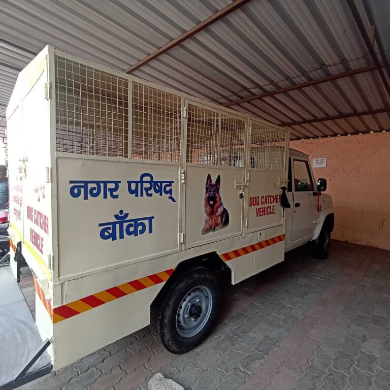 Banka News : नगर परिषद में एनिमल बर्थ कंट्रोल सेंटर निर्माण के लिए टेंडर जारी, आवारा कुत्तों की होगी नसबंदी