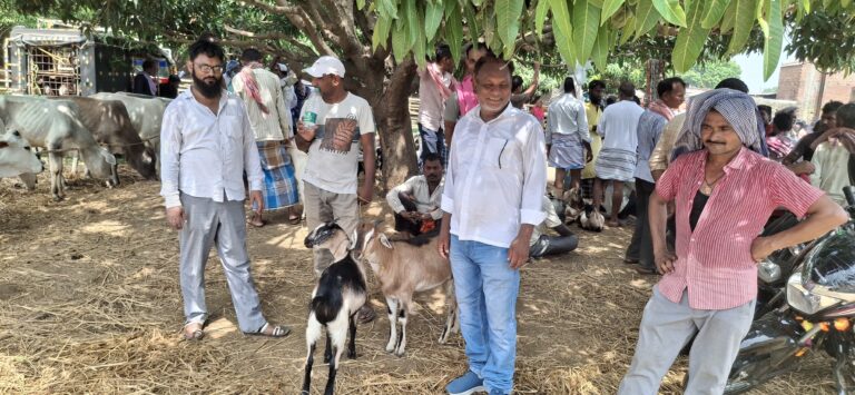 बकरीद से पहले गांवों के हाट में उमड़ी भीड़, 60 हजार तक बिके खस्सी