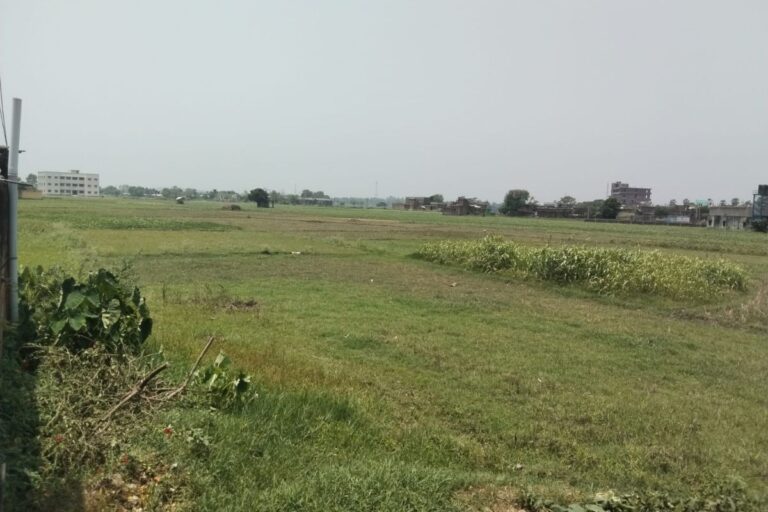 लखीसराय में खरीफ सीजन की तैयारी तेज, 42 हजार हेक्टेयर में होगी धान रोपनी