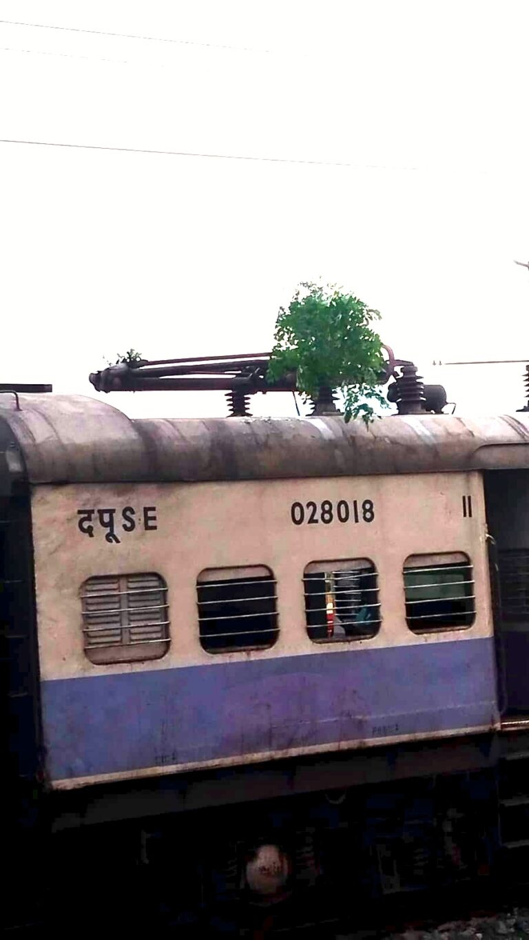 आंधी से पेड़ की टहनियां मेमू ट्रेन के पेंटो में फंसी, वंदे भारत समेत कई ट्रेनें 50 मिनट तक रुकीं