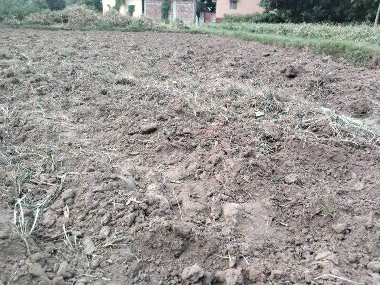 खरीफ की तैयारी में जुटे किसान