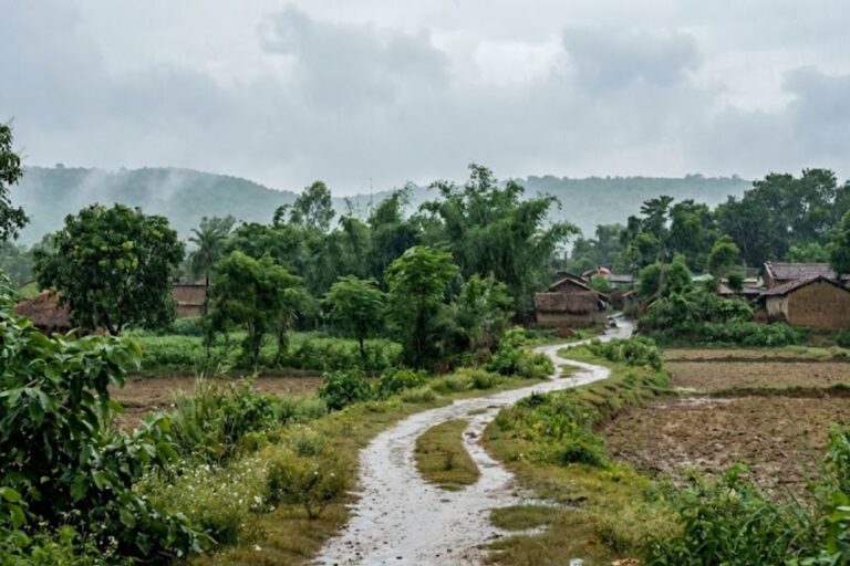 झारखंड में बदला मौसम का मिजाज, अगले पांच दिनों में और गिरेगा तापमान