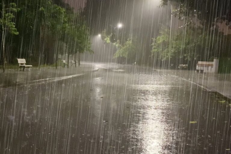 रोहतास में आंधी-पानी का कहर, रातभर ठप रही बिजली, सड़कों पर गिरे पेड़