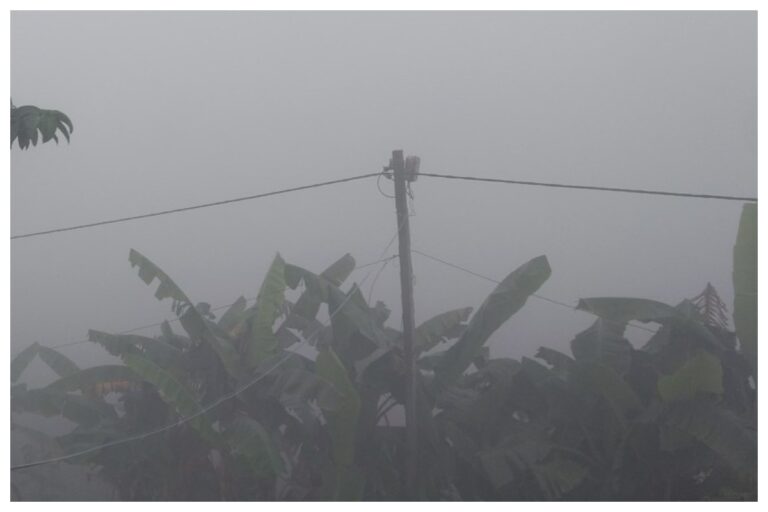 Sitamarhi Weather Alert: आज भी बारिश के आसार, तेज हवाओं की चेतावनी