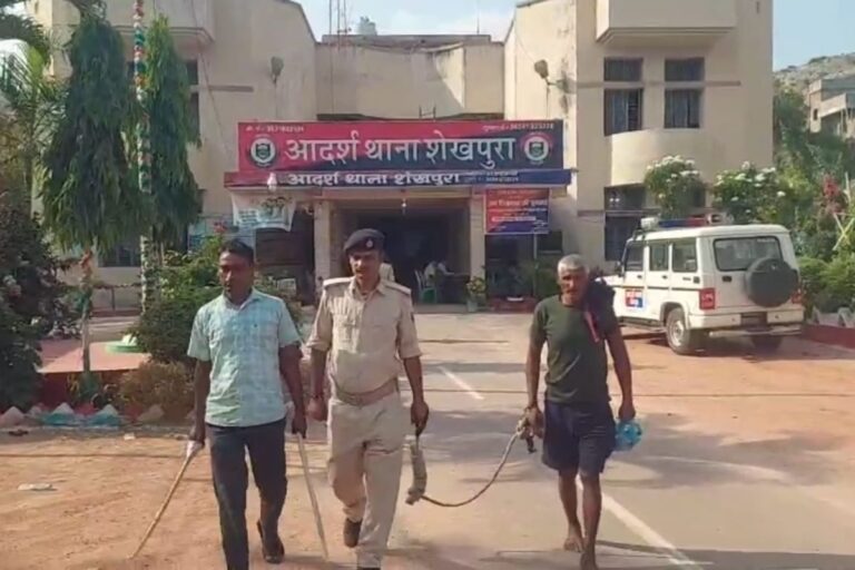 शेखपुरा के अरियरी में लगातार हो रही चोरी, सीसीटीवी फुटेज से एक चाेर पकड़ाया