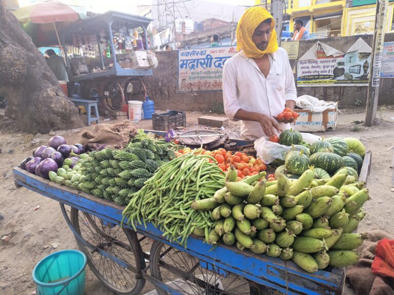 आज का मंडी भाव: अद्रा से पहले बाजारों में जामुन की दस्तक, खाद्य सामग्रियों के दाम में उतार-चढ़ाव
