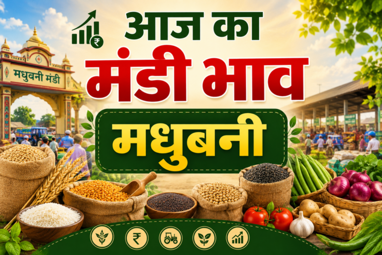 खाद्य तेल और चावल के दाम स्थिर, जानें 23 जून का ताजा बाजार भाव