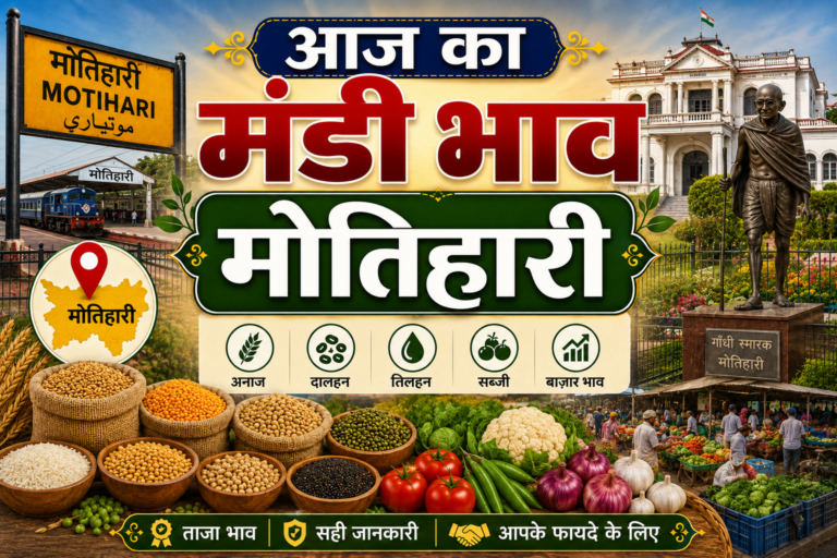 धान ₹3000 प्रति क्विंटल पर स्थिर, जानें 26 जून के ताजा मंडी भाव