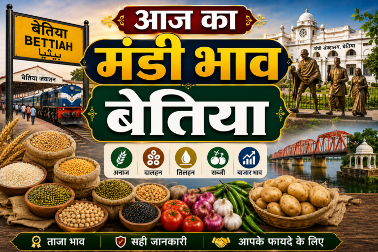 बेतिया मंडी में आज क्या है आलू, प्याज और गेहूं का भाव? देखें 1 जुलाई के ताजा रेट