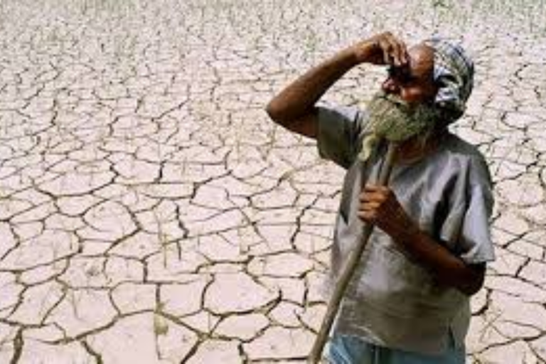 जहानाबाद में मानसून की बेरुखी ने रोकी धान की रफ्तार, खरीफ फसल पर छाए संकट के बादल