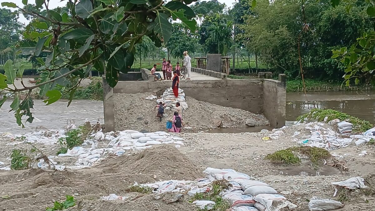 किशनगंज में टूटा पुल बना 'मौत का रास्ता', जान जोखिम में डाल स्कूल जा रहे 100 से अधिक बच्चे 2 Kishanganj News1