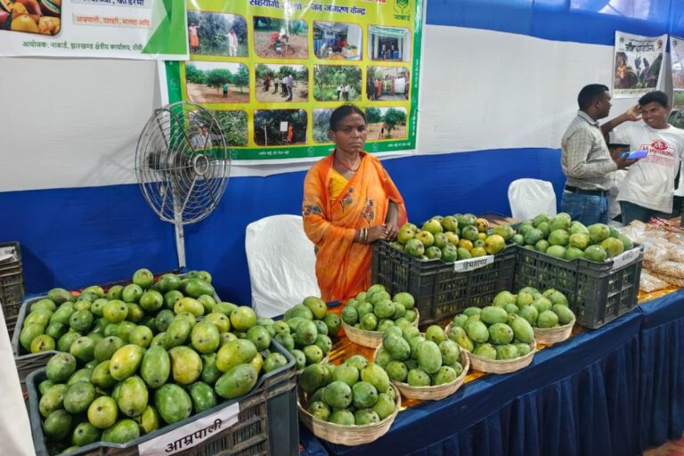 Mango Festival: नाबार्ड के महोत्‍सव में मिल रहे ऑर्गेनिक आम, 21 जून तक सजा रहेगा बाजार