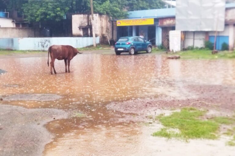 नोवामुंडी में बदला मौसम का मिजाज, झमाझम बारिश से लोगों को मिली गर्मी से राहत 