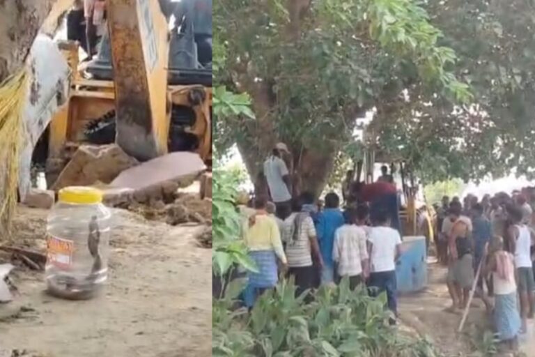 सीवान में सांप ने 2 मासूमों की जान ली, लोगों ने चबूतरा तोड़कर डिब्बे में कैद किया