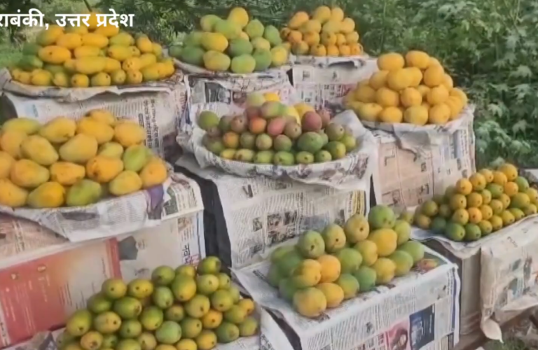 नेपाल ने बंद किया भारत से आम का रास्ता,   UP के किसानों की जेब पर पड़ेगी सीधी चोट
