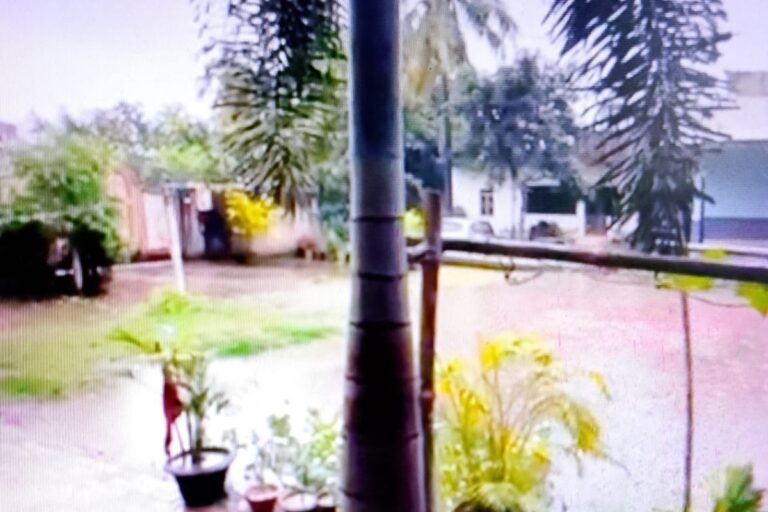 पूर्णिया में सुबह से झमाझम बारिश, उमस से मिली राहत