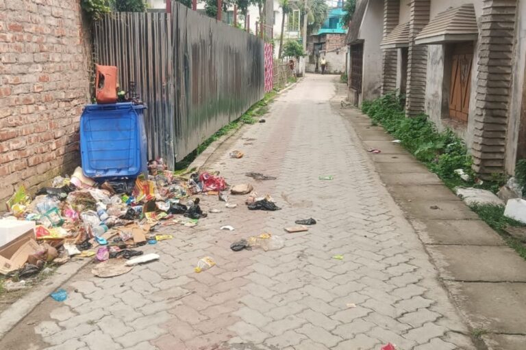 डुमरिया भट्टा में कचरे के अंबार से नारकीय हुई जिंदगी, वार्ड 29 के लोग बेहाल