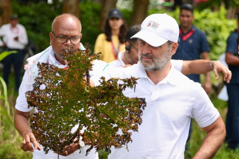 गुटबाजी से जूझ रही कांग्रेस को मजबूत करने की कवायद, प्रदेश अध्यक्ष बनने के बाद कल कटिहार आएंगे राजेश राम