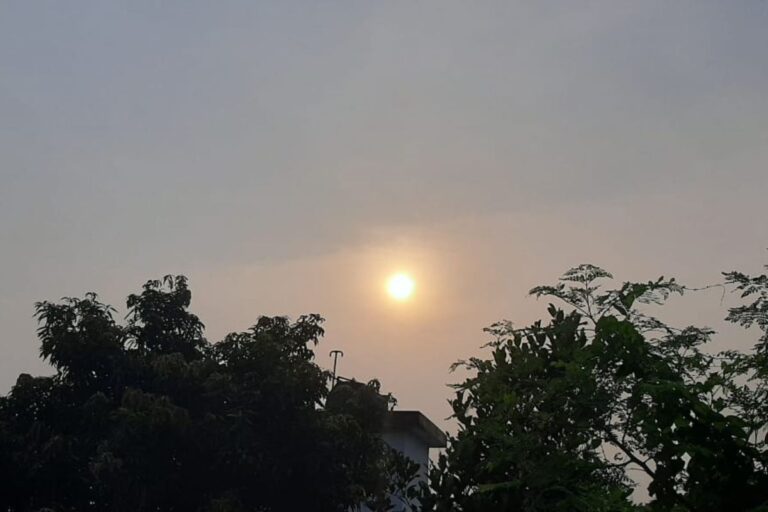 रात की बारिश ने दी राहत, सुबह निकली धूप से बढ़ी उमस, दिन में छा सकते हैं बादल
