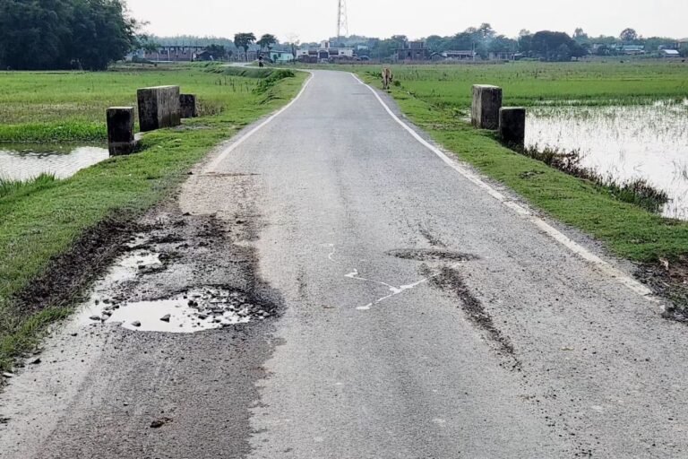 करोड़ों की लागत से बनी सड़क एक साल में बदहाल, जगह-जगह उभरे गड्ढे