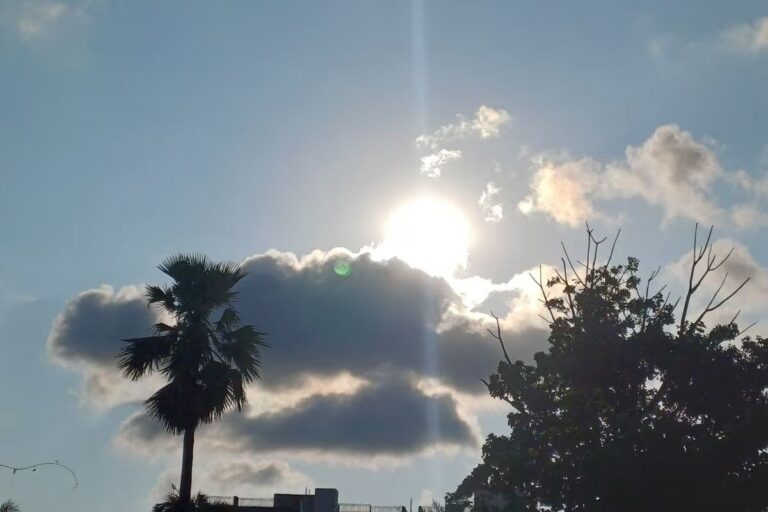 Sheohar Weather: जानें आज कैसा रहेगा मौसम का मिजाज
