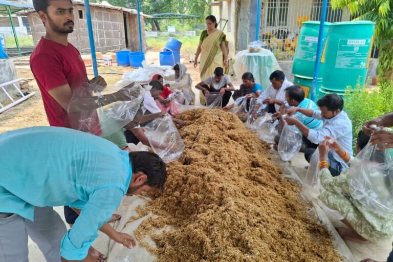 केवीके में मशरूम उत्पादन पर व्यावहारिक प्रशिक्षण, 30 किसानों को दी जा रही जानकारी