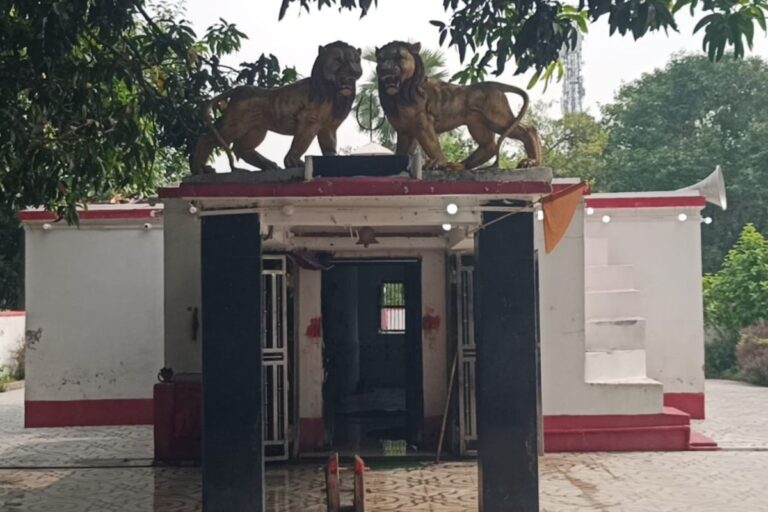 दामोदरपुर का चामुंडा काली मंदिर आस्था का प्रमुख केंद्र, तांत्रिक विधि से स्थापना की है मान्यता