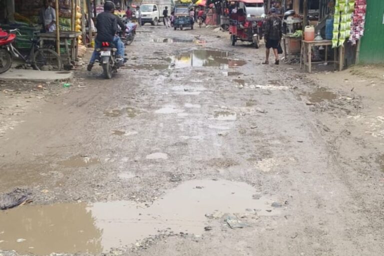गड्ढों में दफन विकास: अमलझाड़ी-गरीबनवाज चौक सड़क बनी ग्रामीणों की बड़ी परेशानी