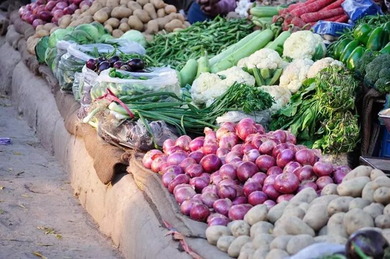 सासाराम मंडी अपडेट : हरी सब्जियों के दाम में गिरावट से आम लोगों को राहत, कतरनी चावल हुआ महंगा