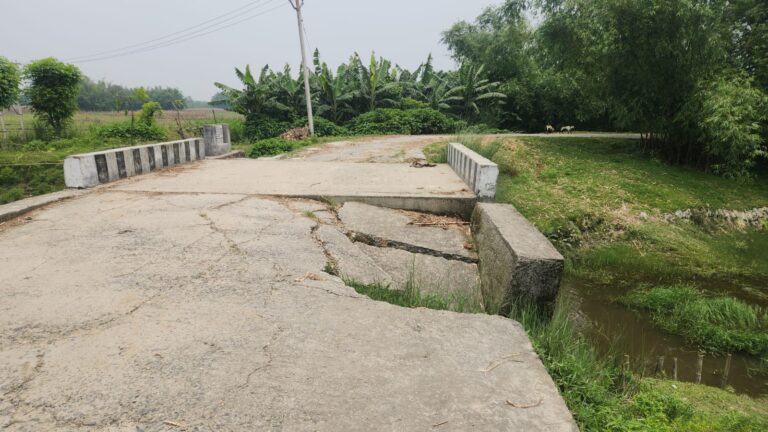 पूर्व मंत्री के गांव की सड़क पर संकट, कभी भी टूट सकता है जर्जर कलवर्ट
