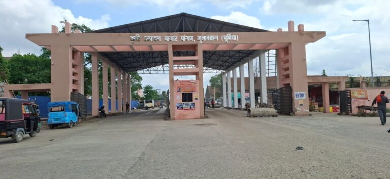 गुलाबबाग मंडी में मक्का की चमक बरकरार, 2260 रुपये प्रति क्विंटल तक पहुंचा भाव