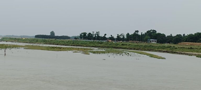 अमदाबाद में गंगा-महानंदा का जलस्तर बढ़ा, निचले इलाकों में बाढ़ का खतरा गहराया