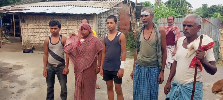 कटिहार के डंडखोरा में लकड़बग्घे का आतंक, कई ग्रामीणों और मवेशियों पर हमला , लोगों में दहशत