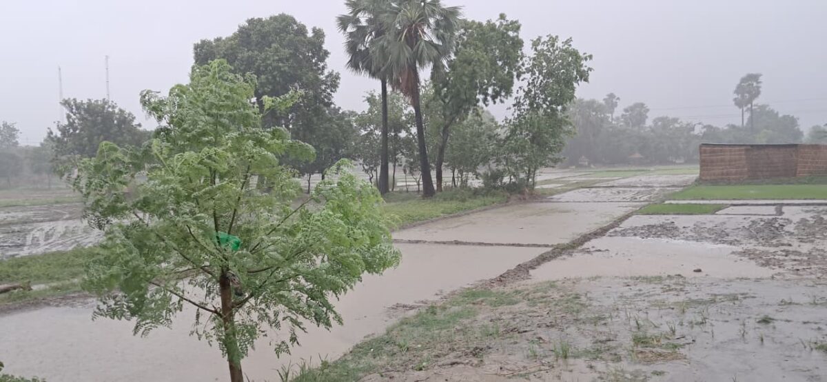 सारण: तरैया में झमाझम बारिश से बदला मौसम का मिजाज, Imd का अलर्ट, किसानों की बढ़ी उम्मीदें 2 Whatsapp Image 2026 06 29 At 13.27.41