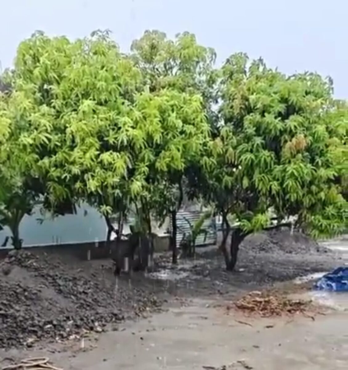 सारण में झमाझम बारिश से बदला मौसम का मिजाज, भीषण गर्मी से मिली राहत, किसानों के खिले चेहरे 2 Whatsapp Image 2026 06 30 At 11.53.30