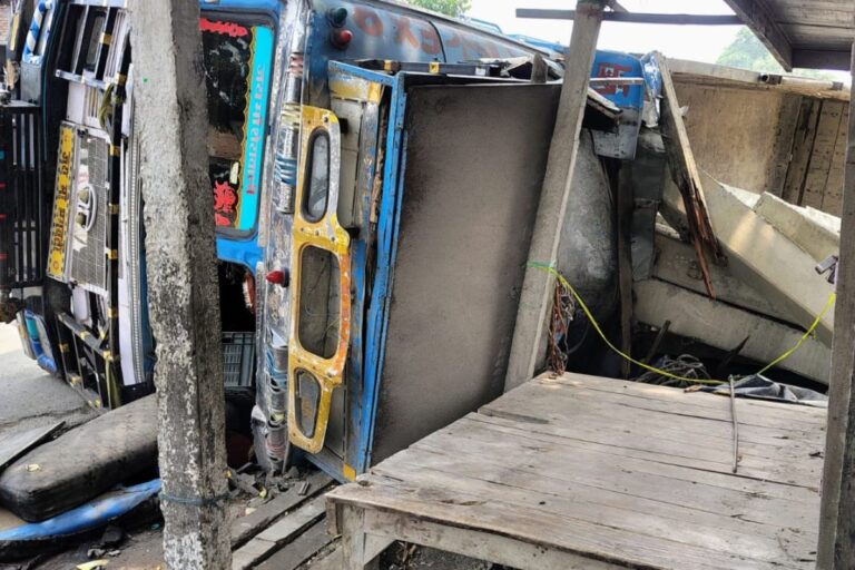 ट्रक ने सड़क किनारे बैठे अधेड़ को टक्कर मारी, अनियंत्रित होकर पलटा, जान भी गयी