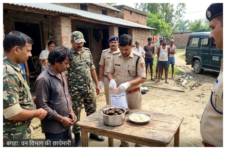 Bagaha: वन विभाग की छापेमारी में 4 किलो संदिग्ध हिरण का मांस बरामद, एक गिरफ्तार