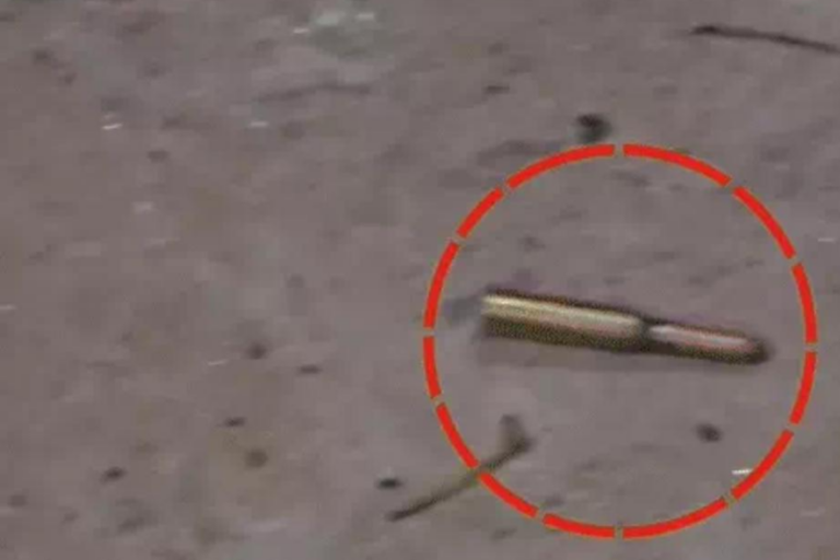 बेगूसराय में वर्चस्व की लड़ाई में ताबड़तोड़ गोलीबारी में युवक जख्मी, प्रखंड प्रमुख पति समेत 2 गिरफ्तार