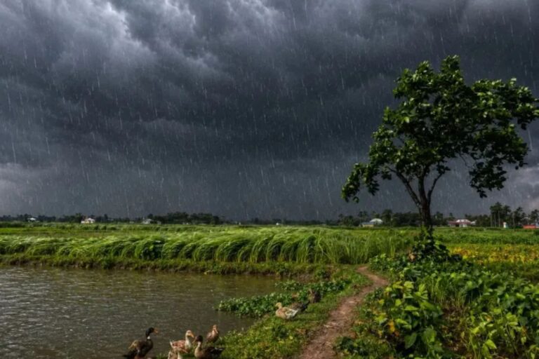 मुजफ्फरपुर में आज तेज हवाओं और भारी बारिश का अलर्ट