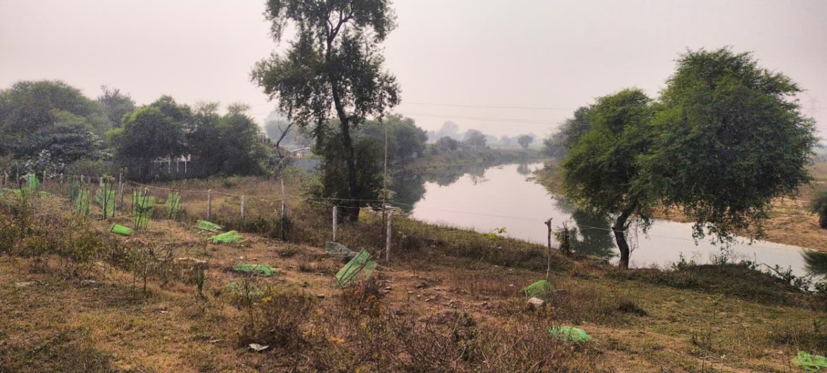 औरंगाबाद में Pnc कंपनी की लापरवाही से क्षतिग्रस्त हुई 11 हजार वोल्ट लाइन, 15 घंटे बिजली गुल; ग्रामीणों ने किया गेट जाम 1 Image 1286