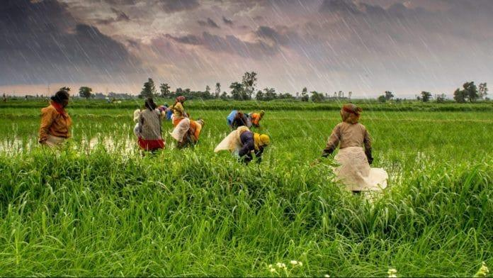 हाजीपुर में जून के आखिरी दिन मेहरबान हुआ मानसून, झमाझम बारिश से मिली राहत, किसानों के चेहरे खिले 3 Image 1677