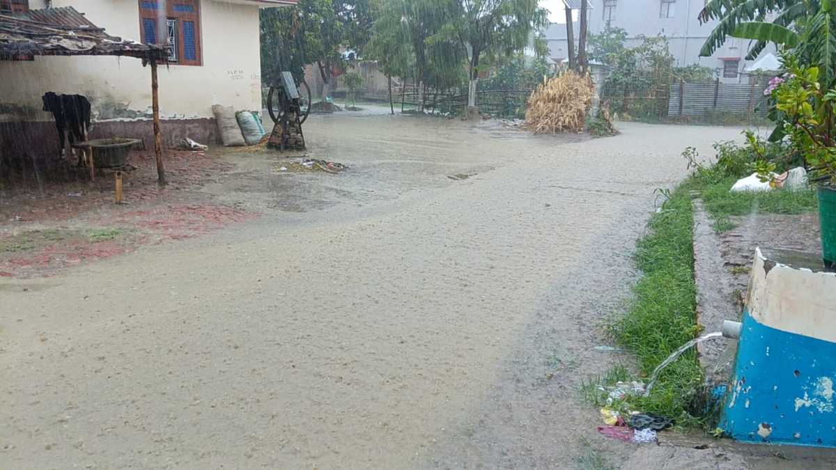 गोपालगंज सहित कई इलाकों में झमाझम बारिश, उमस भरी गर्मी से मिली निजात, किसानों में खुशी की लहर 3 Image 1752
