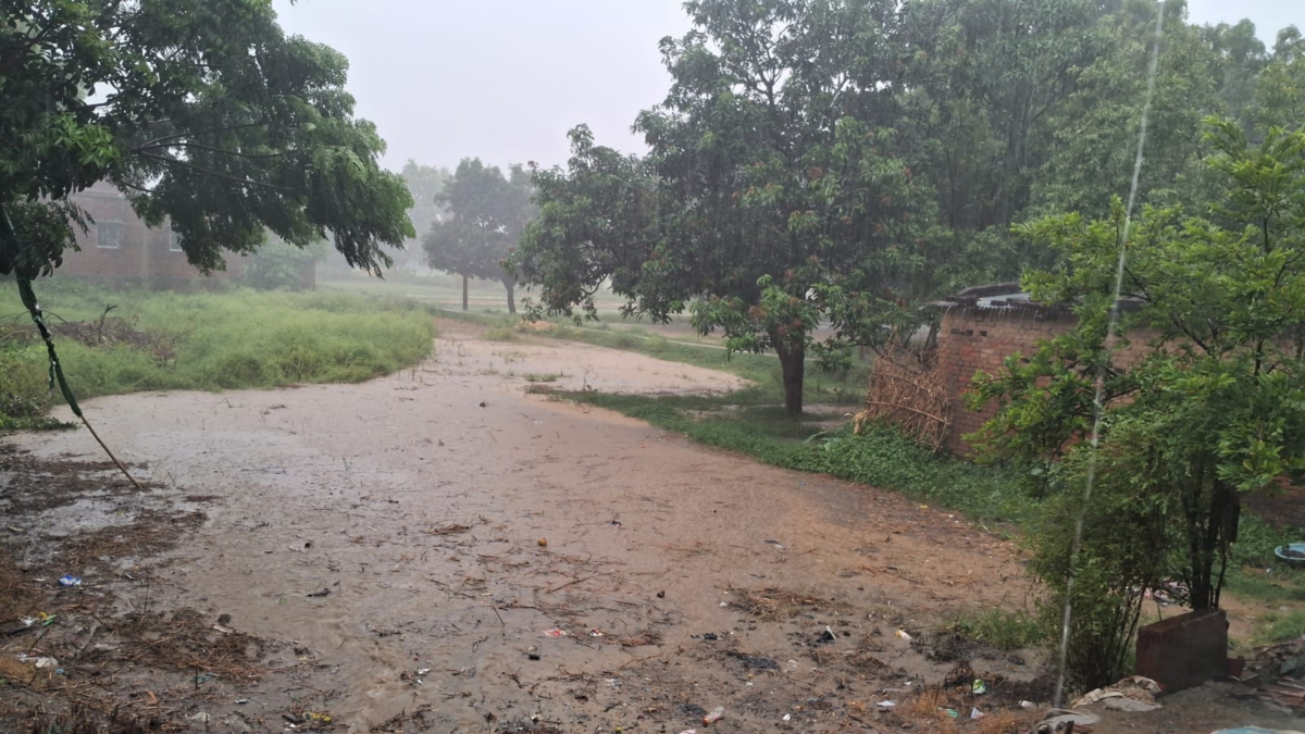 गोपालगंज सहित कई इलाकों में झमाझम बारिश, उमस भरी गर्मी से मिली निजात, किसानों में खुशी की लहर 1 Image 1753
